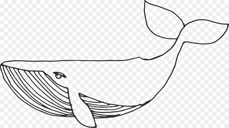 海洋生物手绘鲸鱼