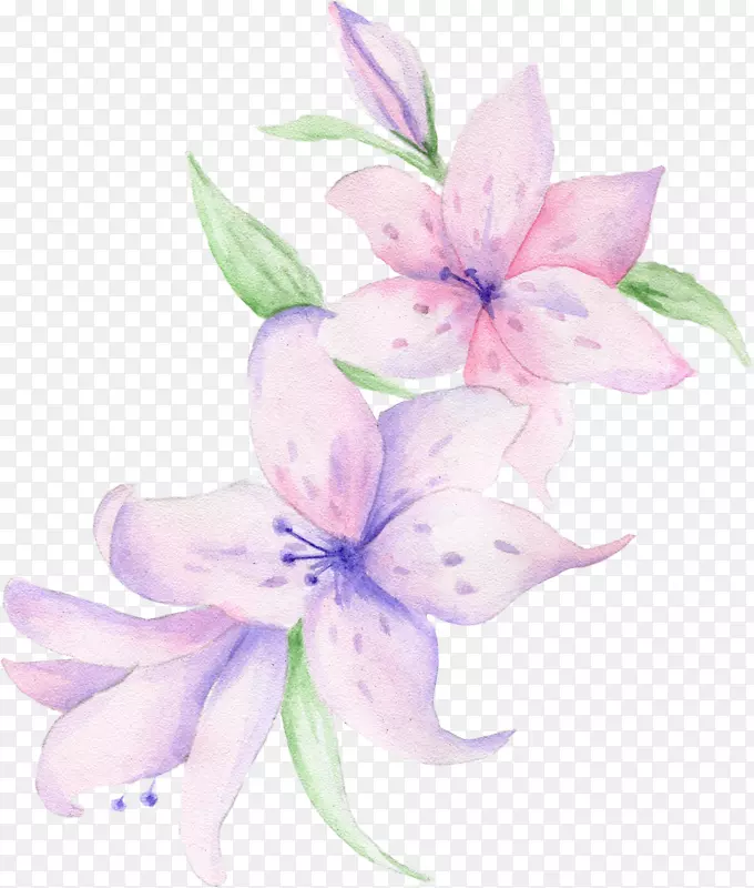 紫色花蕊