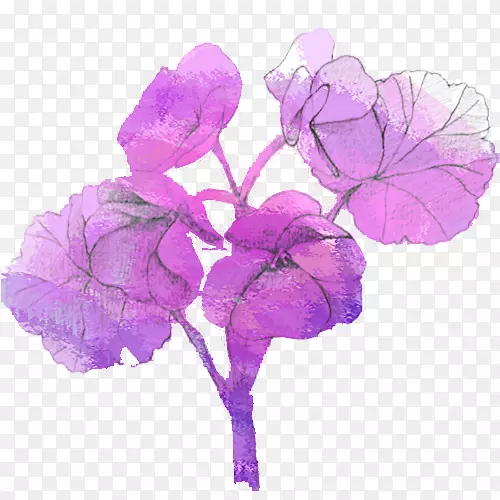 紫色水彩叶子