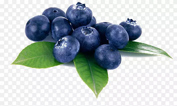 黑紫色蓝莓果实