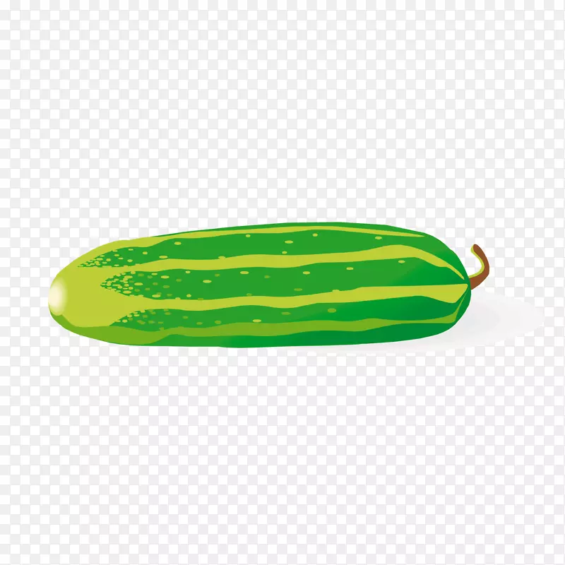 卡通黄瓜植物设计矢量图