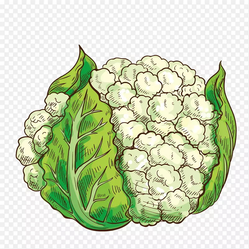 卡通美食装饰插画设计西兰花