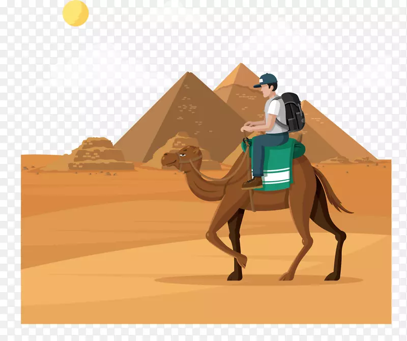 骑着骆驼埃及旅游