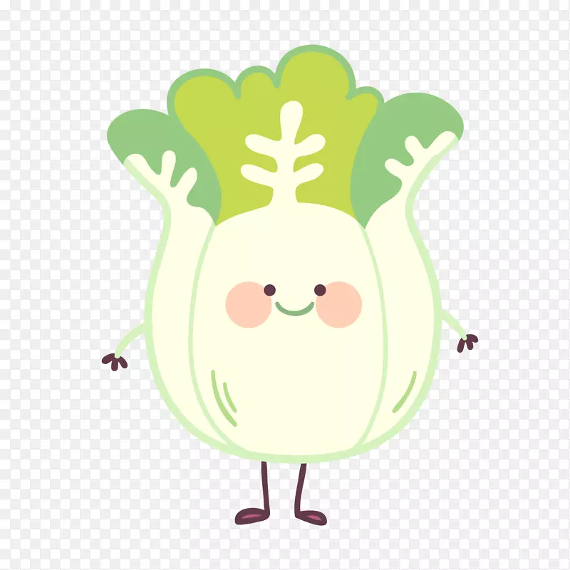 白菜白色绿色健康蔬菜矢量