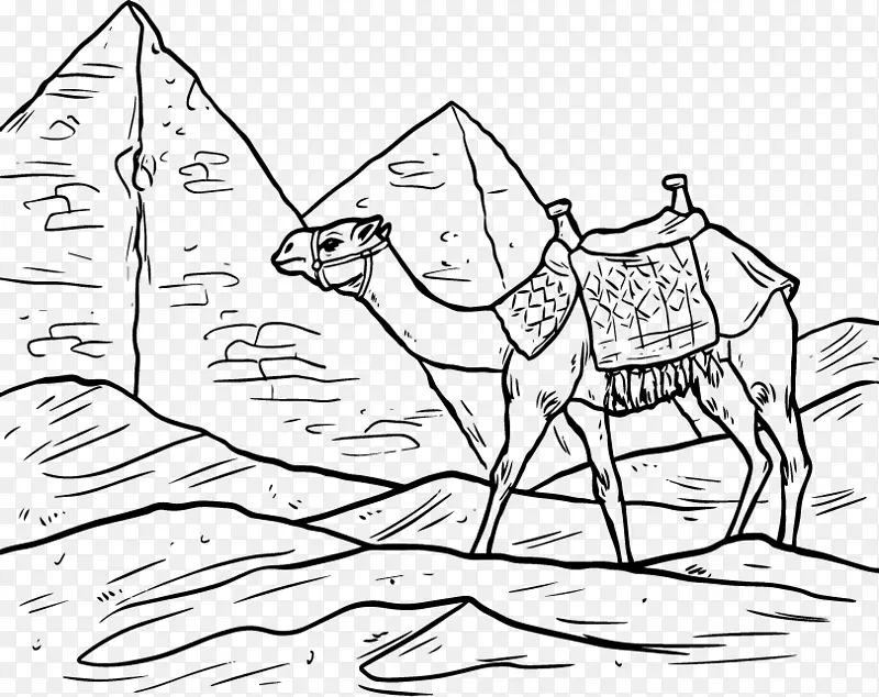 埃及金字塔和骆驼矢量素材