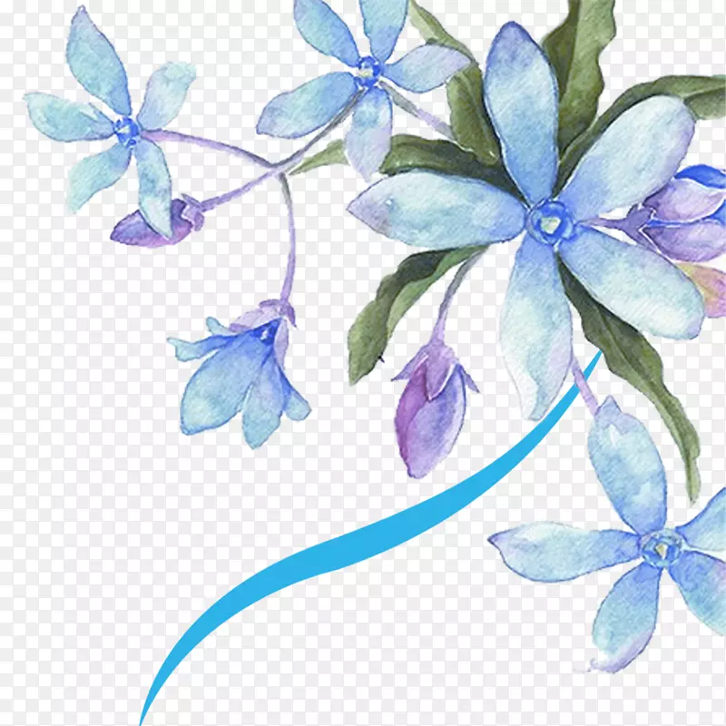 蓝色唯美鲜花