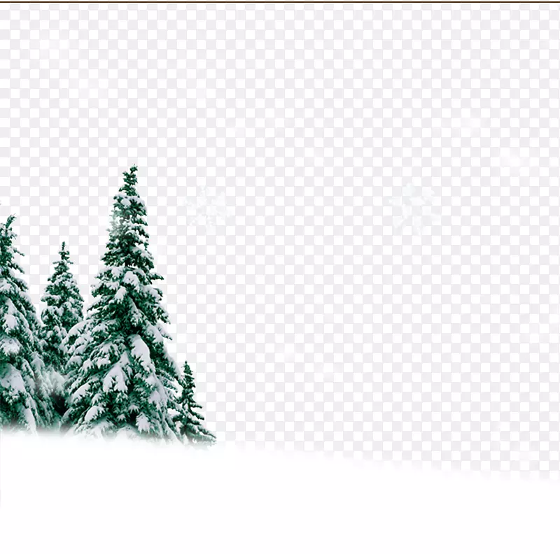 雪地里的圣诞树