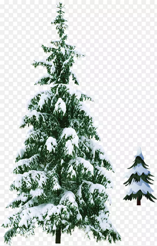 绿色的带着积雪的圣诞树