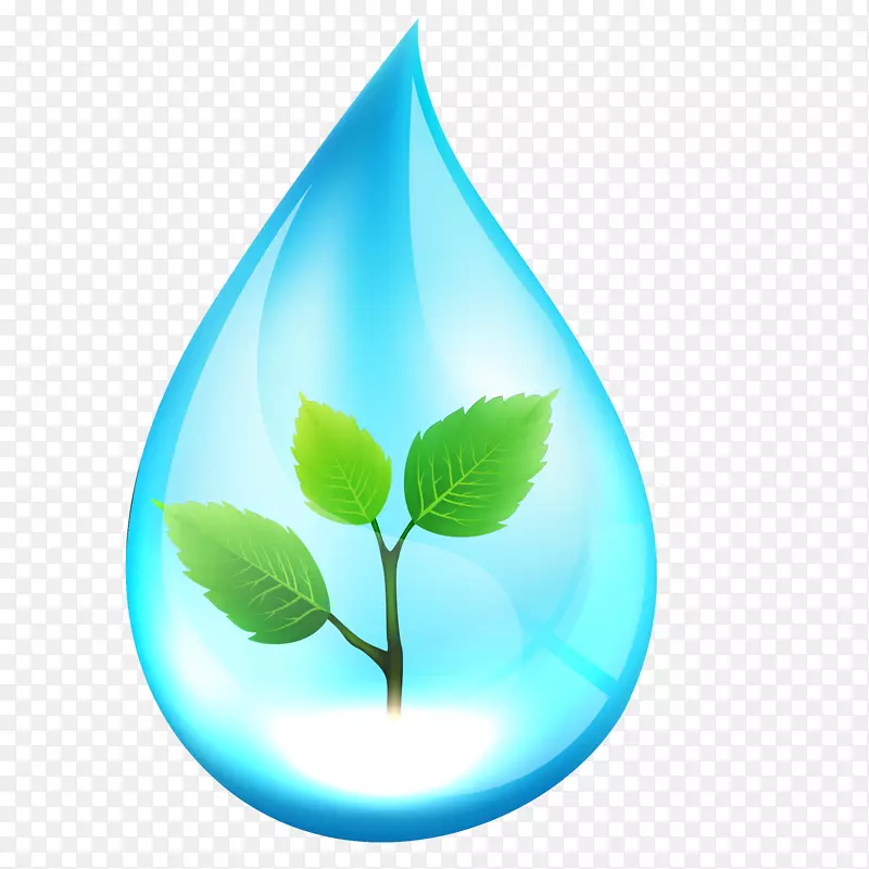 创意矢量手绘树枝水滴