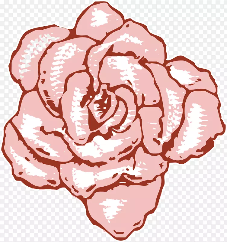 浪漫粉色玫瑰花矢量图