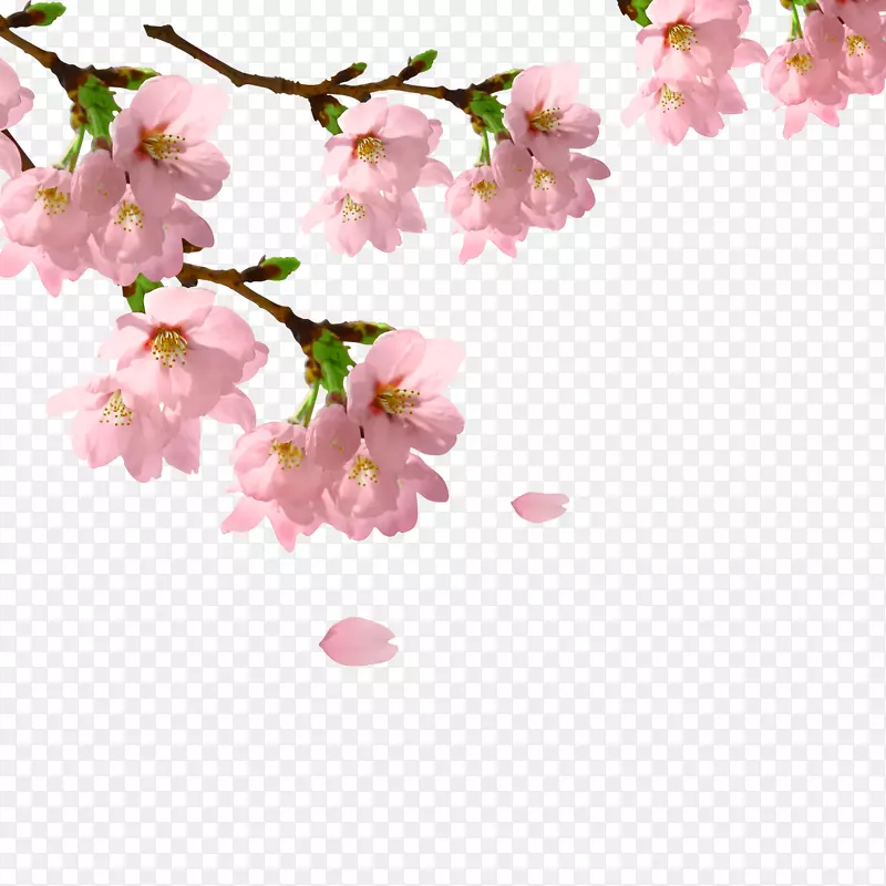 粉红色浪漫桃花桃花节装饰