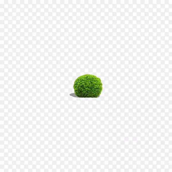 球状绿色植物