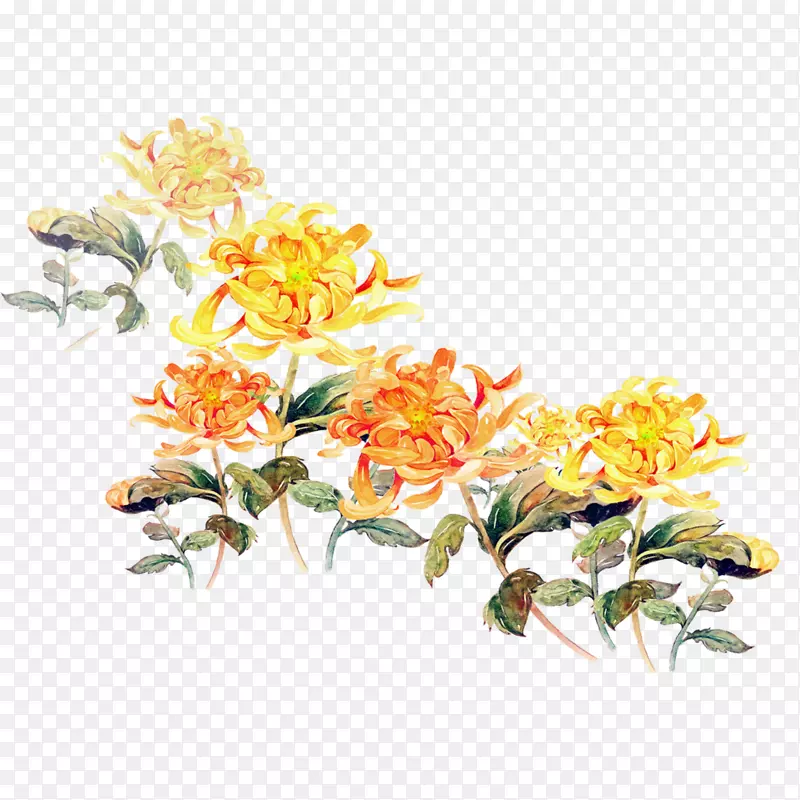 重阳节黄色水彩菊花朵装饰免下载