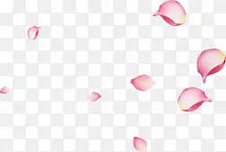 大片的粉色花瓣海报