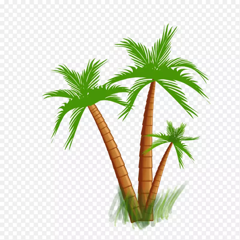 手绘绿色椰树植物