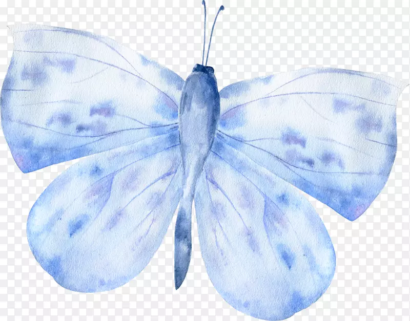 卡通手绘蓝色的蝴蝶