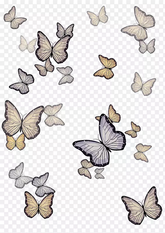 飞舞的蝴蝶们
