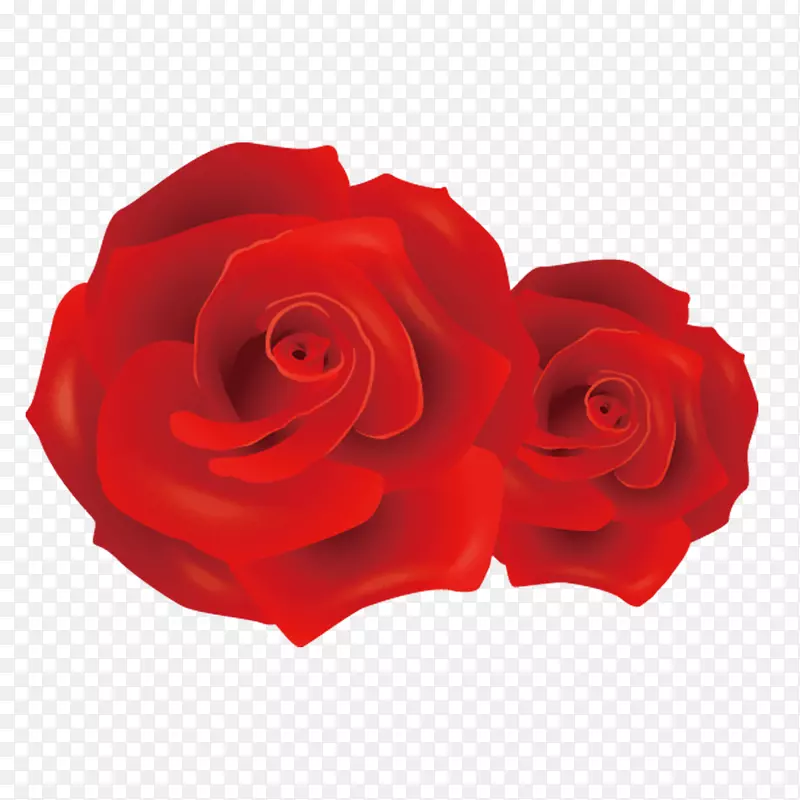 玫瑰花素材