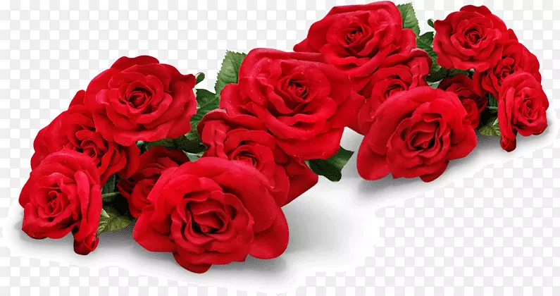 红色浪漫玫瑰花花朵