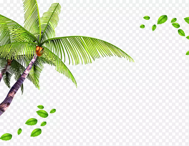 椰树树叶装饰背景