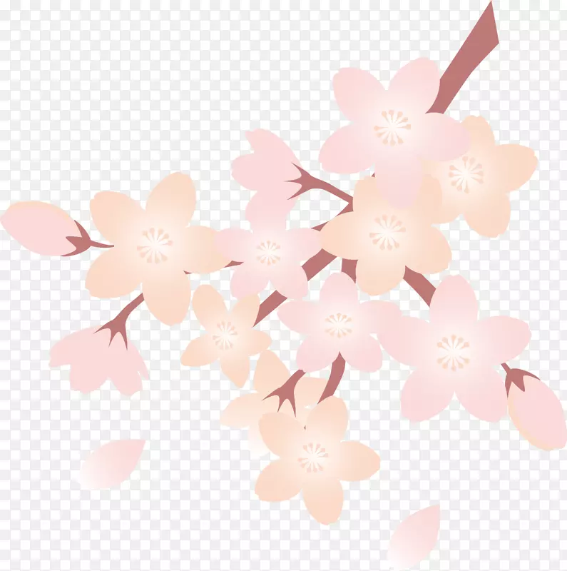 粉色春季美丽桃花