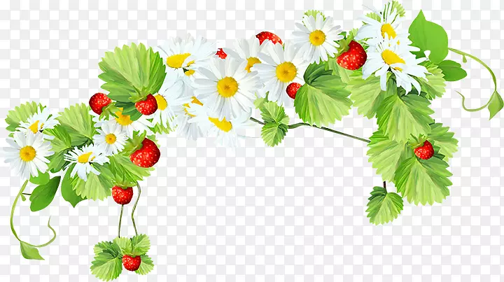 草莓植物花朵雏菊素材