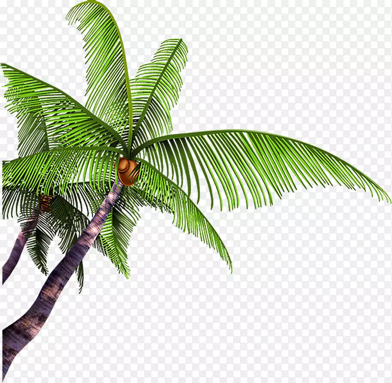绿色植物卡通沙滩椰子树