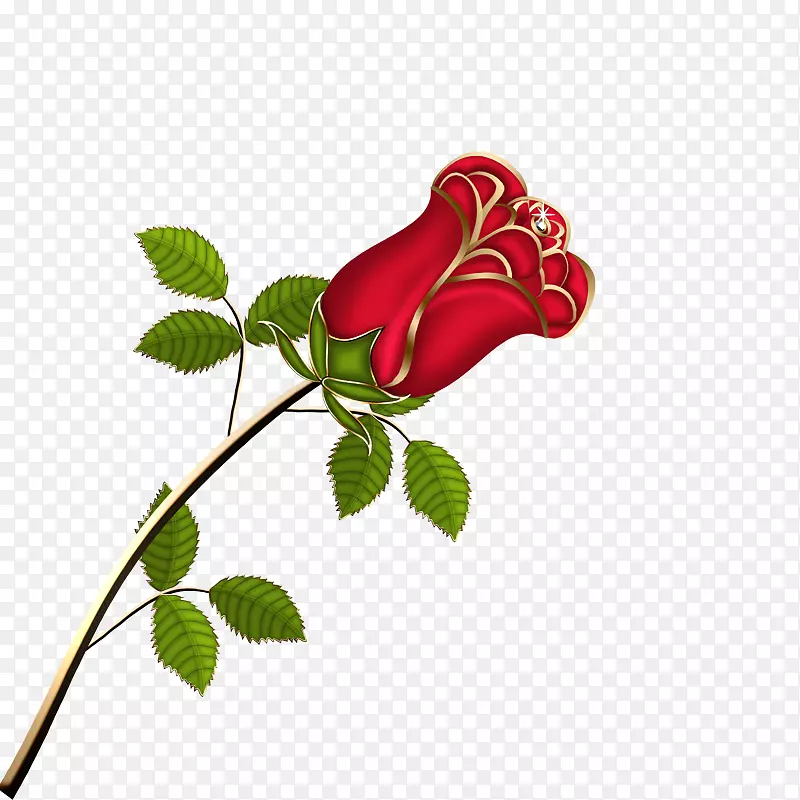 一个玫瑰花