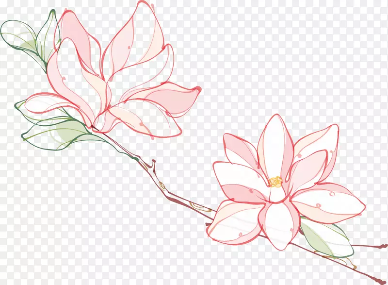 百合花素描一朵百合花