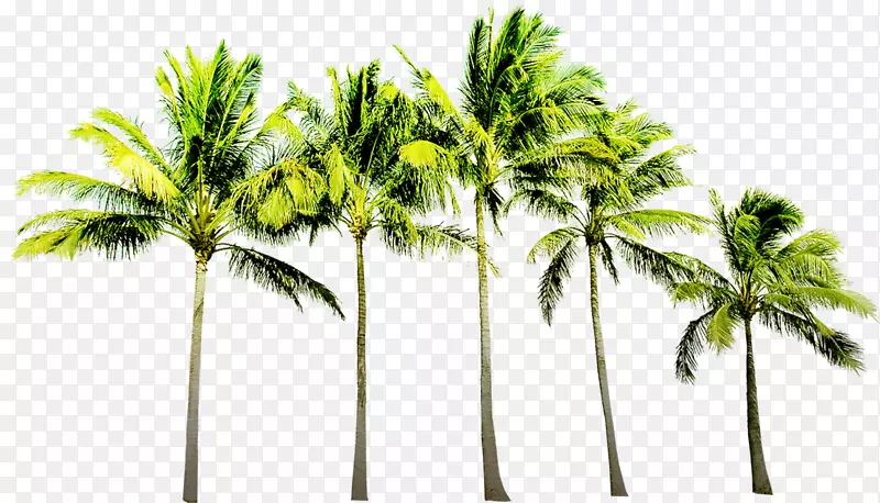 绿色植物卡通沙滩椰子树夏日