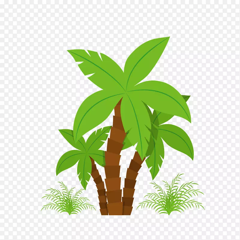 矢量手绘绿色椰子树