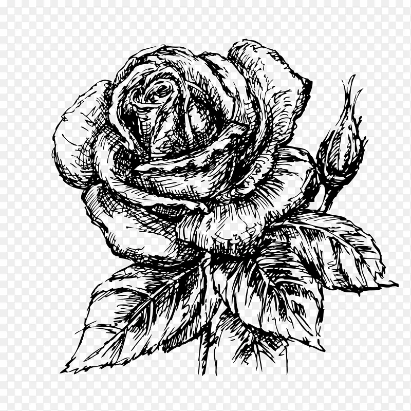 手绘涂鸦玫瑰花植物
