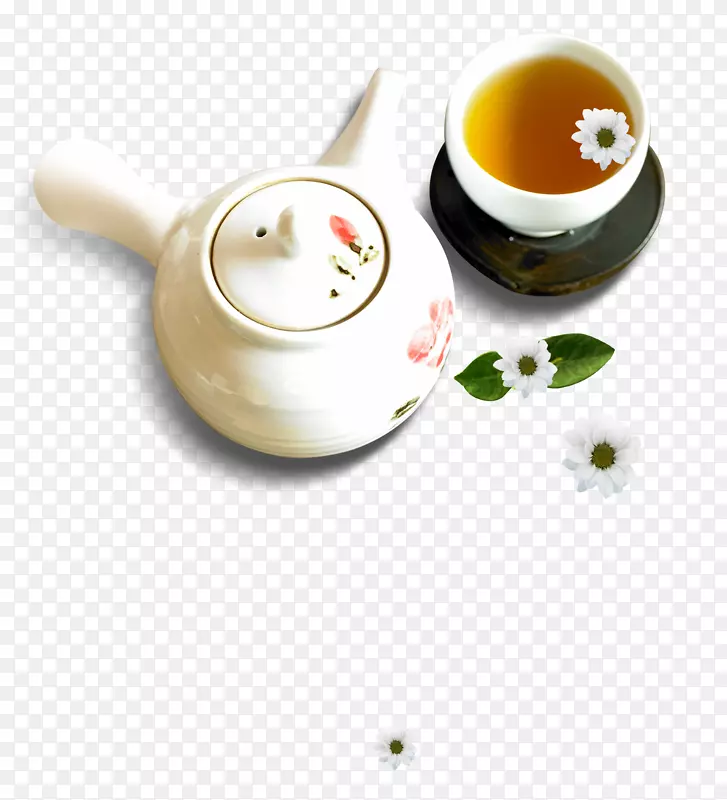 白菊花茶