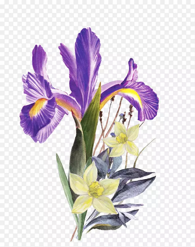 手绘彩铅紫色花朵
