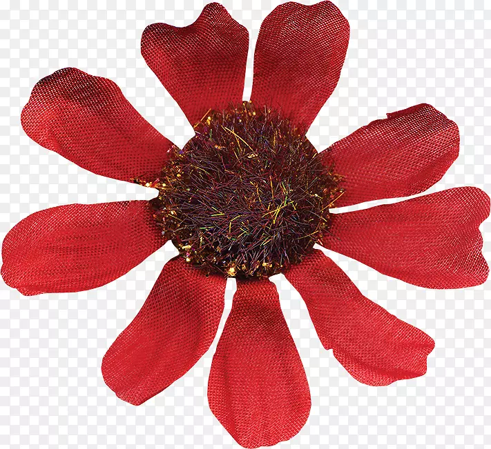 红色花卉