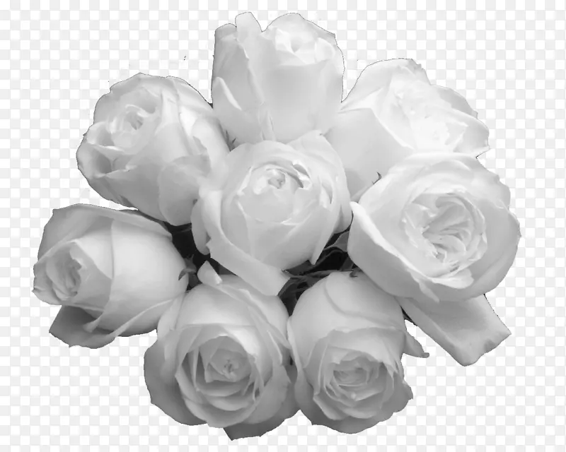 八枝白色玫瑰花儿