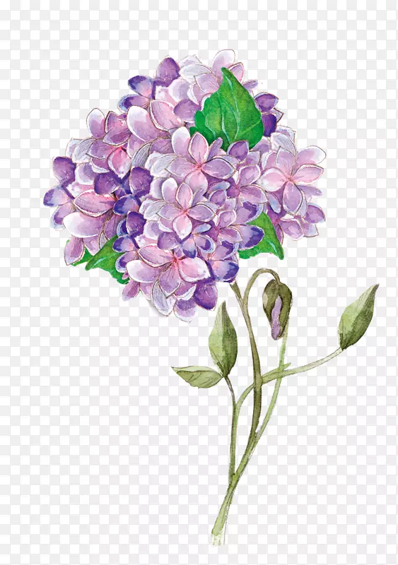 水彩浪漫超唯美圆形紫色花朵