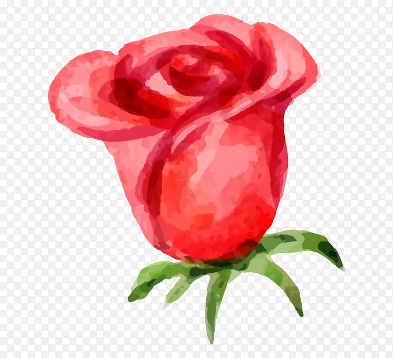 手绘卡通水彩一朵玫瑰花