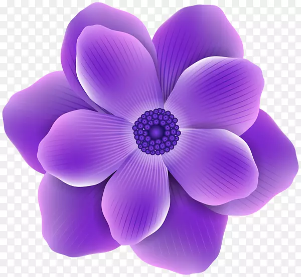 紫色渐变花朵