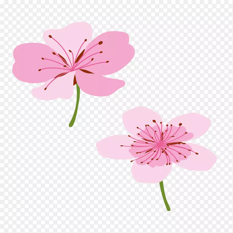 粉红色樱花枝条春季樱花桃花素材