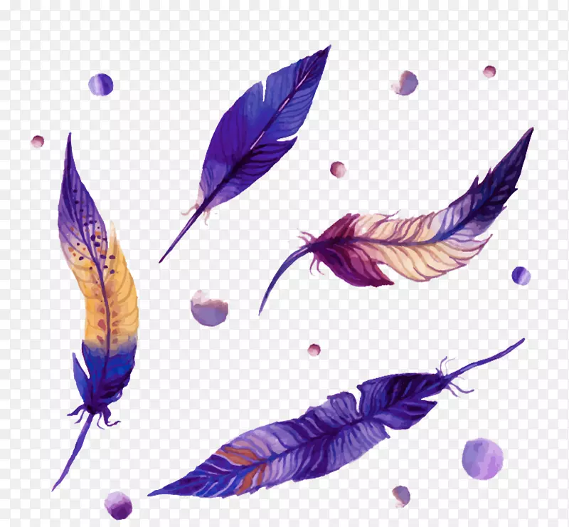 紫色羽毛图片素材