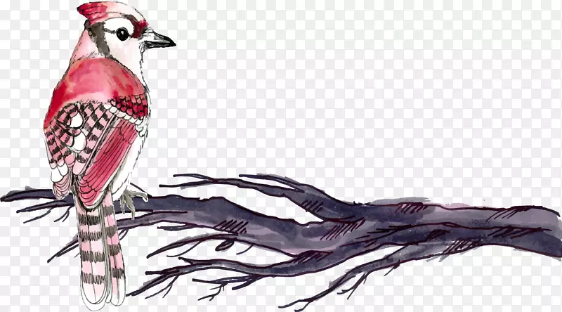 红色手绘水墨小鸟