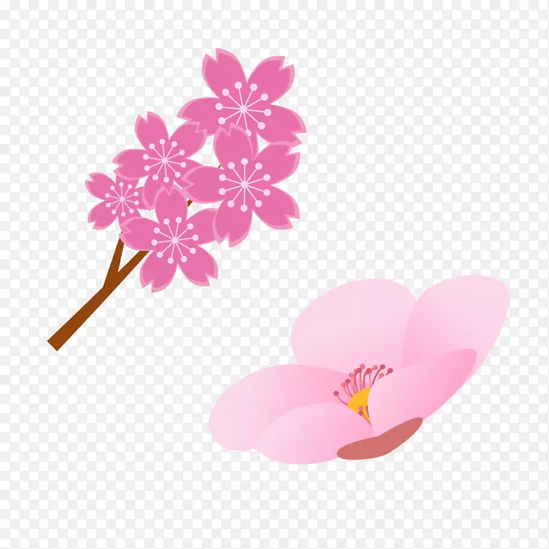 创意树枝粉红色花朵春季樱花桃花