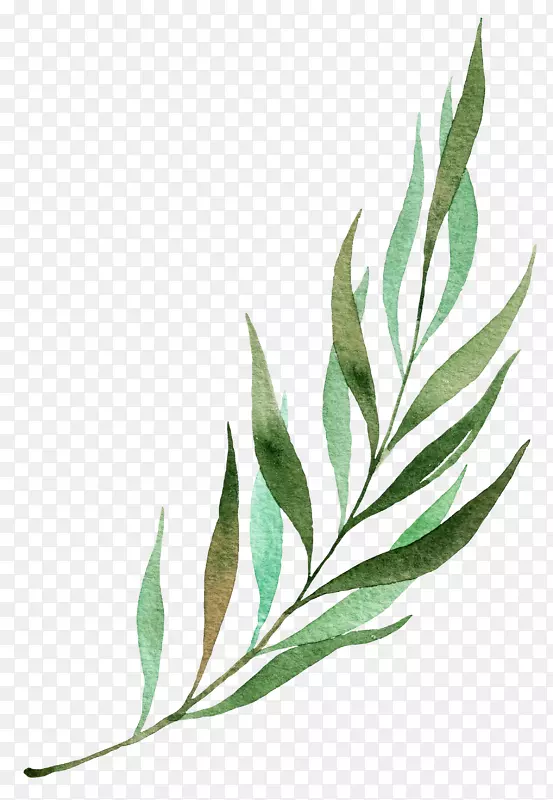 春季花草树叶装饰PNG图片素材下载_图片编号yvmrrlwq-免抠素材网
