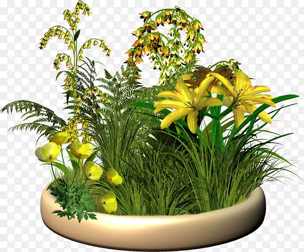 花盆小黄花素材免抠花卉