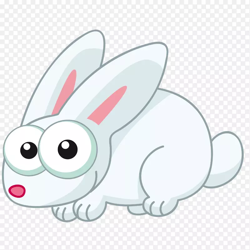 1只萌萌的小白兔