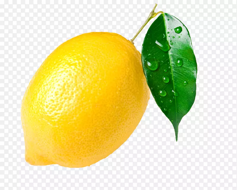 带水珠的柠檬叶子