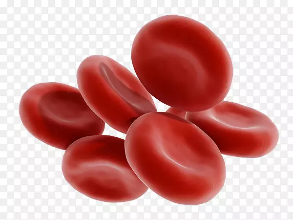 血细胞3D医学插画