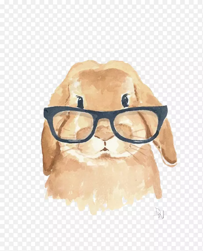 带眼镜的兔子
