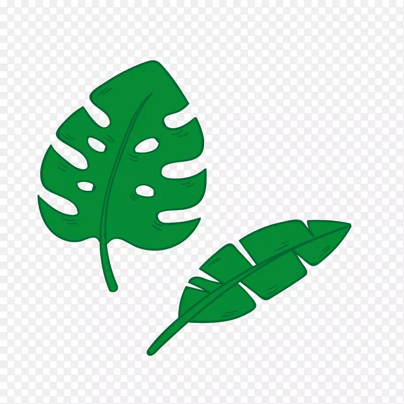 绿色热带植物矢量图